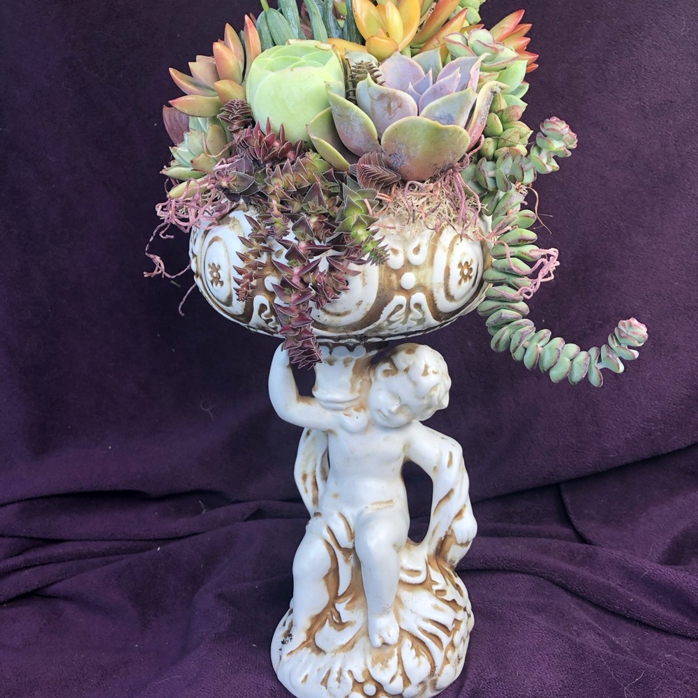 Elegant Cherub Succulent Planter